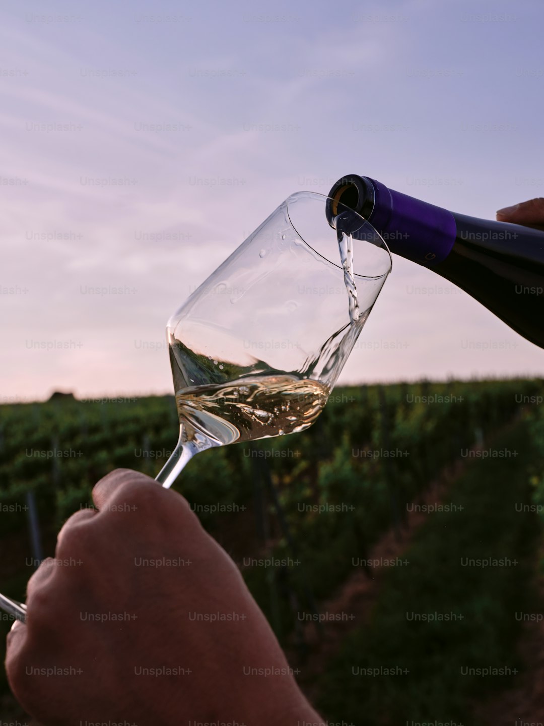 A person holding a wine glass in their hand