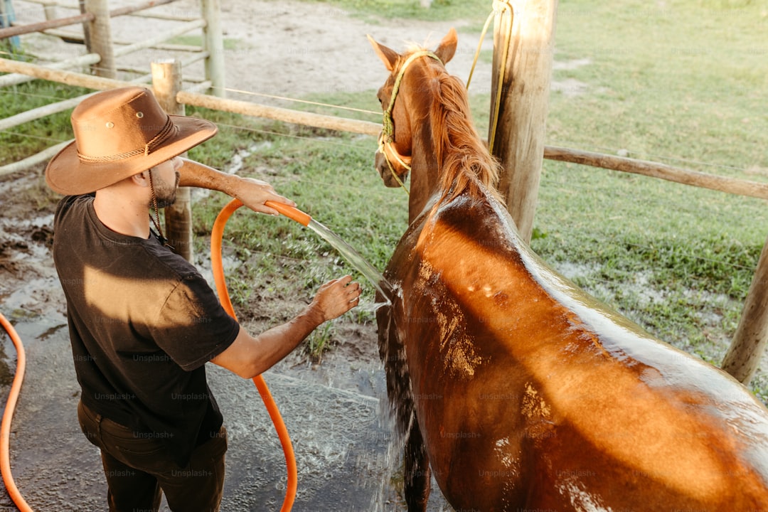 a man washing a horse with a hose