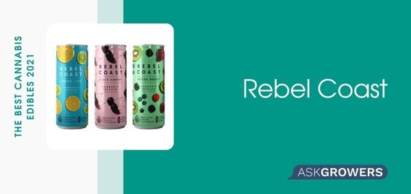 Rebel Coast Wine Seltzer Red Blend