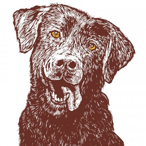 Avery Ellie's Brown Ale