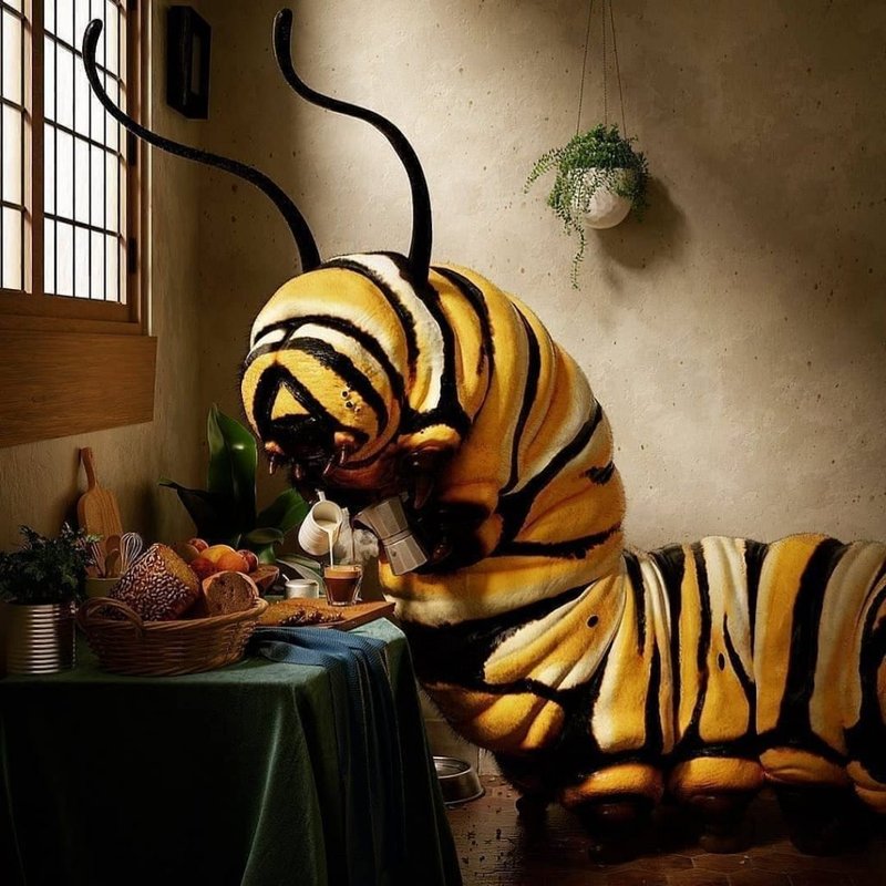 Surreal Brewing Juicy Mavs Hazy IPA