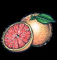 Bon & Viv Grapefruit