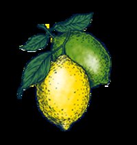 Bon & Viv Lemon Lime